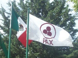 Transformarse En Bandera De la Paz